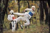 Olympic taekwondo sparring
