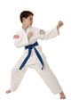 Taekwondo Blue Belt