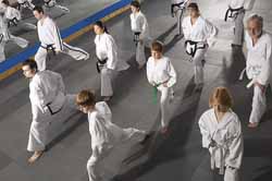 taekwondo class
