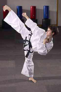 Side Kick Taekwondo Side Kick